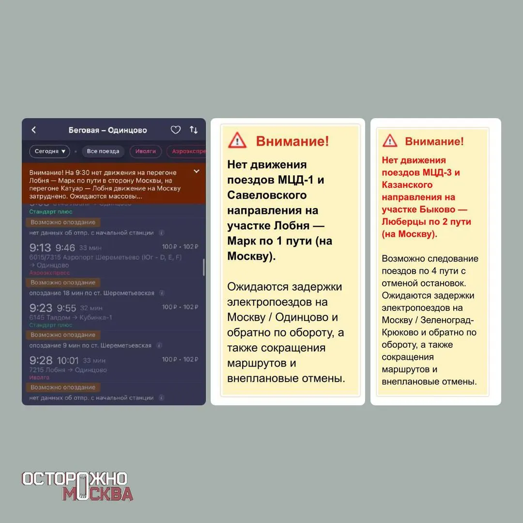 После мощного снегопада на дорогах Московской области и в столице произошло смертельное ДТП, поваленные деревья травмировали нескольких человек, в ряде населённых пунктов зафиксированы отключения электричества и задержки поездов.