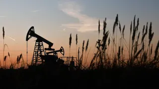 Нефтегазовый сектор в 2025 году сократил свою долю в экономике и бюджете России до многолетних минимумов под влиянием санкций, ограничений добычи и падающих доходов, однако остается ключевым источником ренты и структурной опорой экономики.