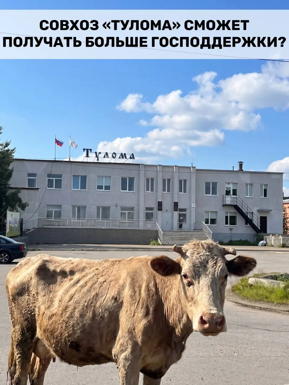 Федеральная поддержка теперь доступна и хозяйствам с более чем 25% гос или муниципальной доли. Для Мурманской области это важно, но отдельные предприятия региона сообщают о критических проблемах, которые ставят под угрозу производство.