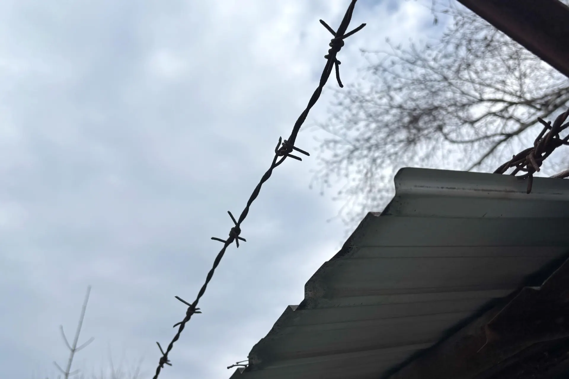 По версии следствия, женщина нанесла мужчине несколько ножевых ударов в голову; подозреваемая заключена под стражу.
