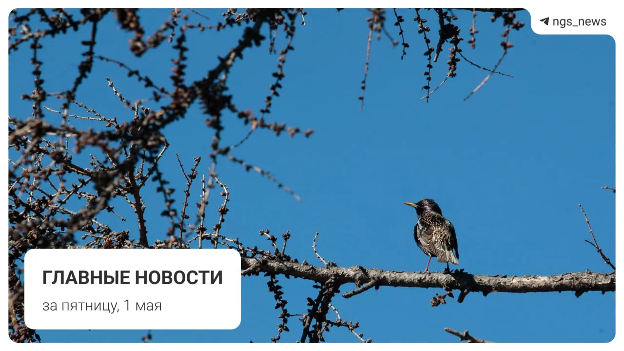 Ключевые события за пятницу, 1 мая: в детской спортшколе в Татарске рухнул потолок, людей не пострадало. Также — заметили сборный поезд метро, новости о фонтане в Центральном парке, первомайское шествие и погром на площади Маркса.