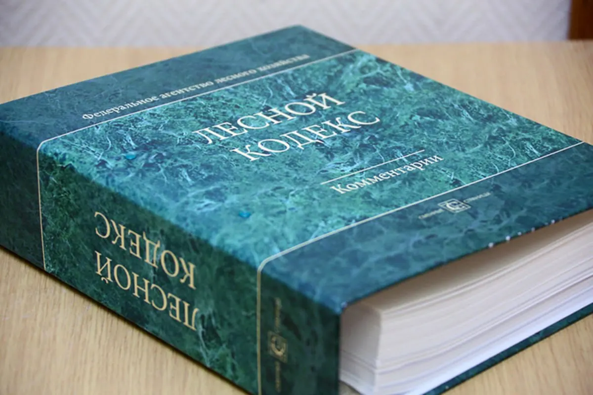 С 2006 года в Лесной кодекс внесли 79 наборов поправок; эксперт по лесному хозяйству считает, что документ устарел и требует полной замены и значительного упрощения.
