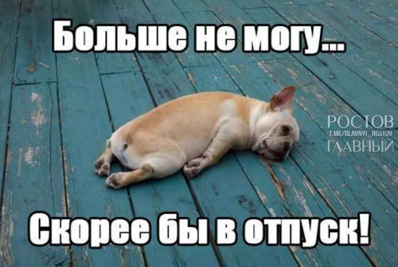 Депутаты предлагают поднять минимальную продолжительность отпуска с 28 до 35 дней, чтобы компенсировать включённые в отпуск праздничные дни и снизить риск профессионального выгорания.