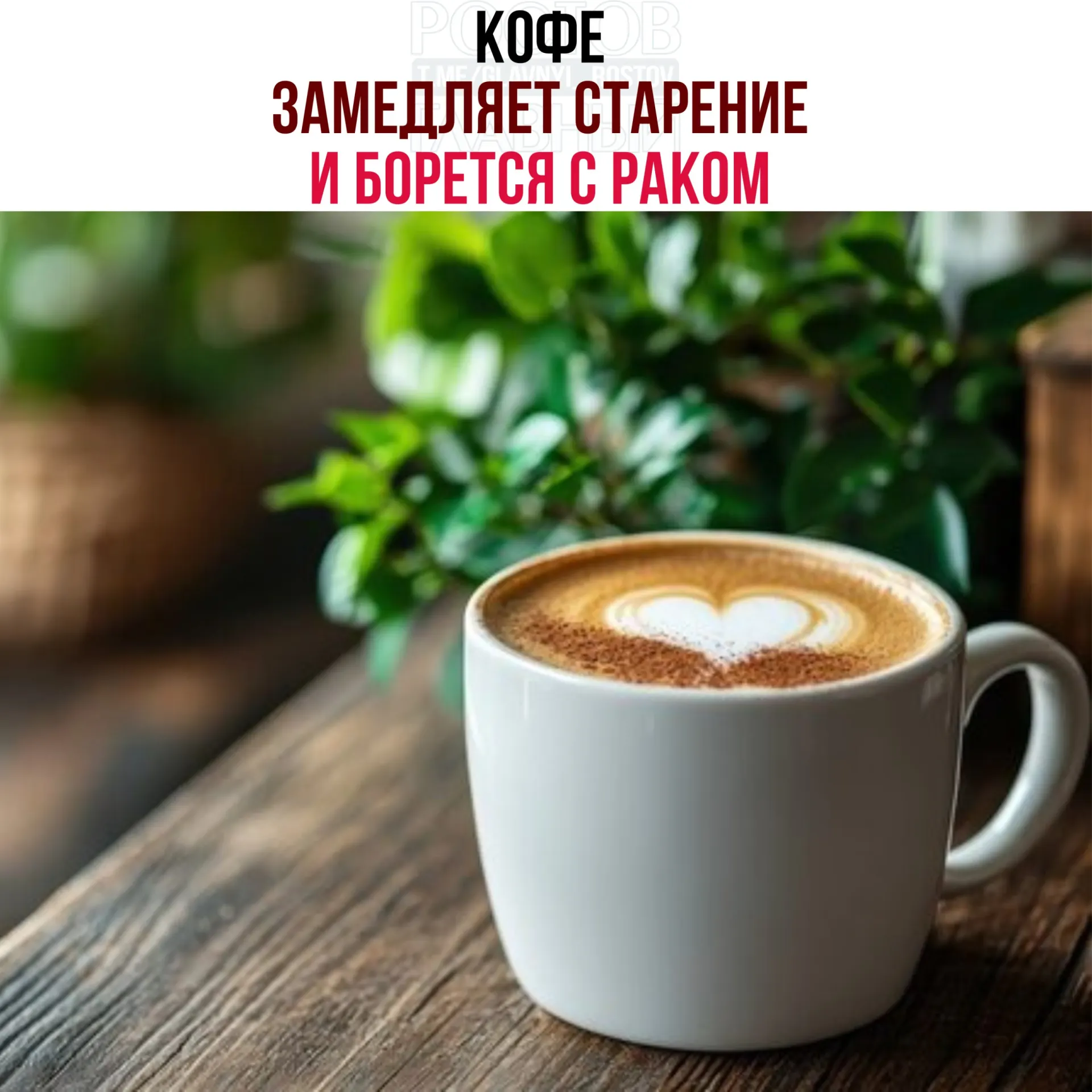 Учёные выяснили, что кислоты и полифенолы в кофейных зёрнах усиливают работу белка NR4A1, что снижает воспаление, ускоряет восстановление тканей и замедляет рост раковых клеток.