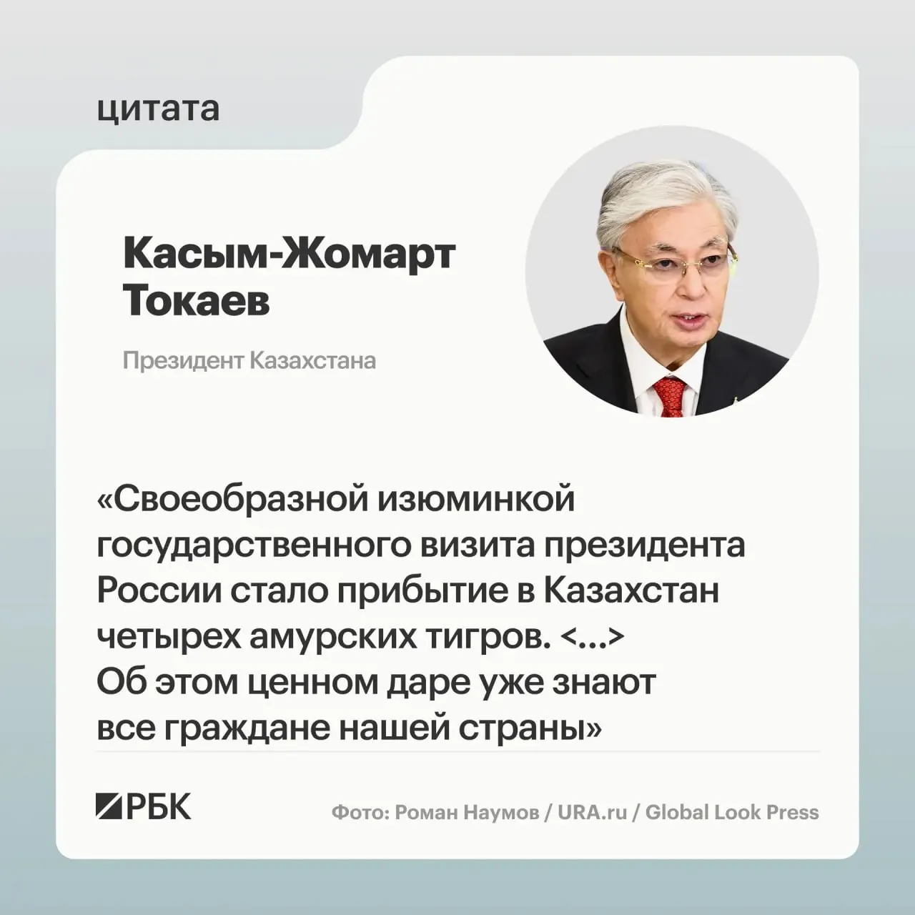 На встрече президентов России и Казахстана представили презентацию о тиграх, которых Россия передала Казахстану по просьбе республики в рамках помощи по восстановлению вида.