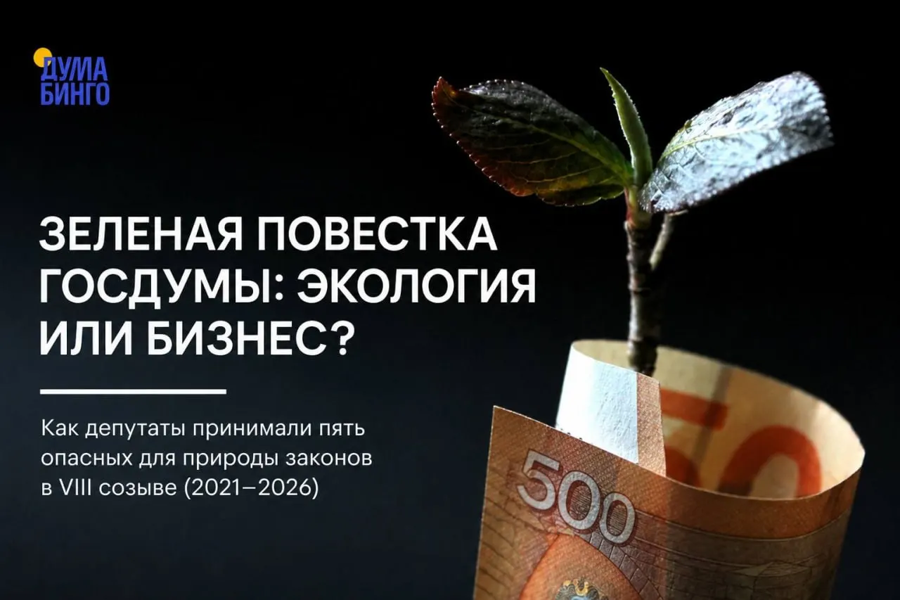 Анализ законодательных инициатив последних лет показывает последовательное ослабление природоохранного регулирования: от ограничения общественной экспертизы до передачи решений о добыче редких видов правительству.