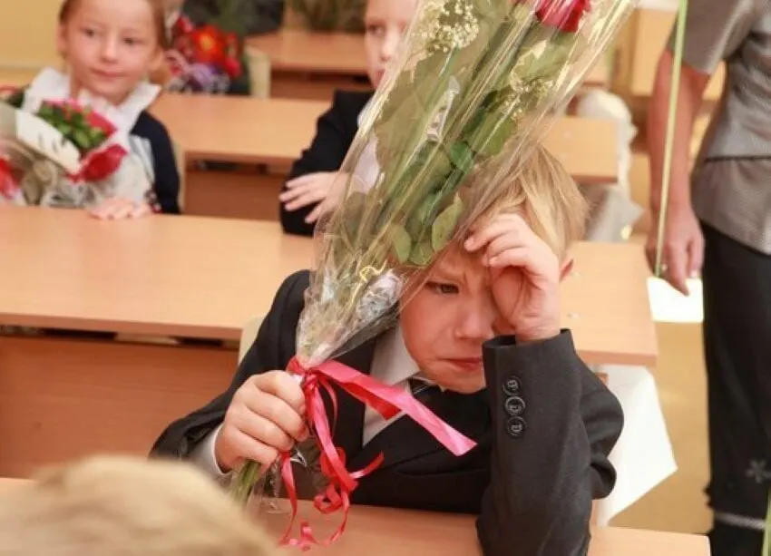 Заместитель министра просвещения Владимир Желонкин отметил, что 11 лет — оптимальная продолжительность школьного образования; идей сокращать или увеличивать срок сейчас нет, а все стандарты будут строиться с расчётом на 11 классов.