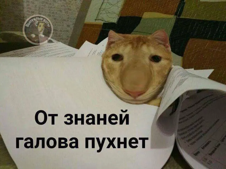 Минспорт сообщил, что в этом году норматив по управлению 75‑мм дроном планируется ввести в тестовом режиме, а с следующего года по всей стране можно будет получить знак ГТО — он даст до 10 баллов к результатам экзамена.