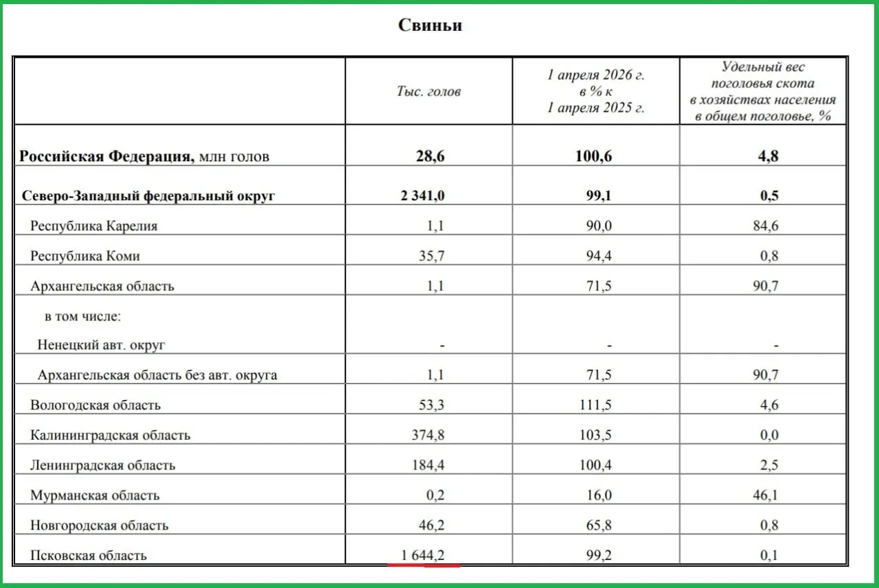 По данным Росстата, в Псковской области содержится 1 644 000 свиней — примерно 70% от общего поголовья по Северо‑Западному федеральному округу (2 341 000).