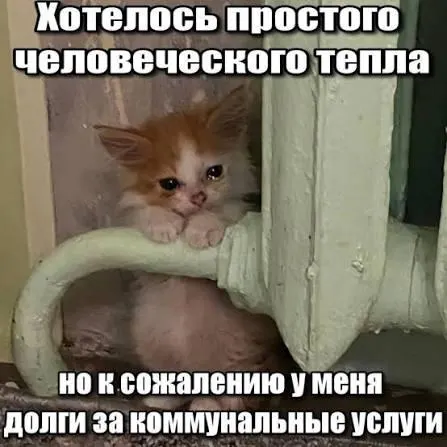 ВС подтвердил, что требовать оплату взносов на капитальный ремонт, срок по которым истёк (более трёх лет), нельзя принудительно, а такие суммы подлежат исключению из платёжных документов.