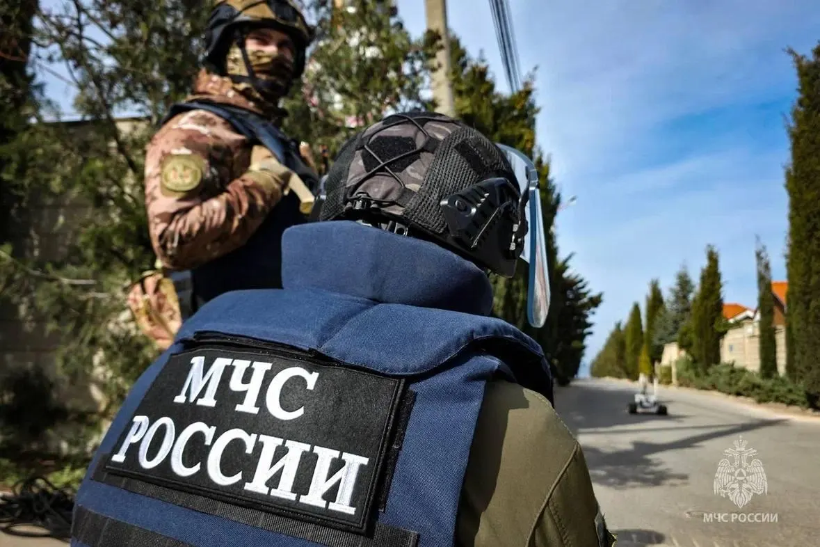 Законопроект предполагает привлечение призывников к тушению пожаров и аварийно-спасательным работам и расширяет полномочия воинских подразделений противопожарной службы МЧС. Инициатива обоснована дефицитом личного состава и низкими зарплатами в ведомстве.