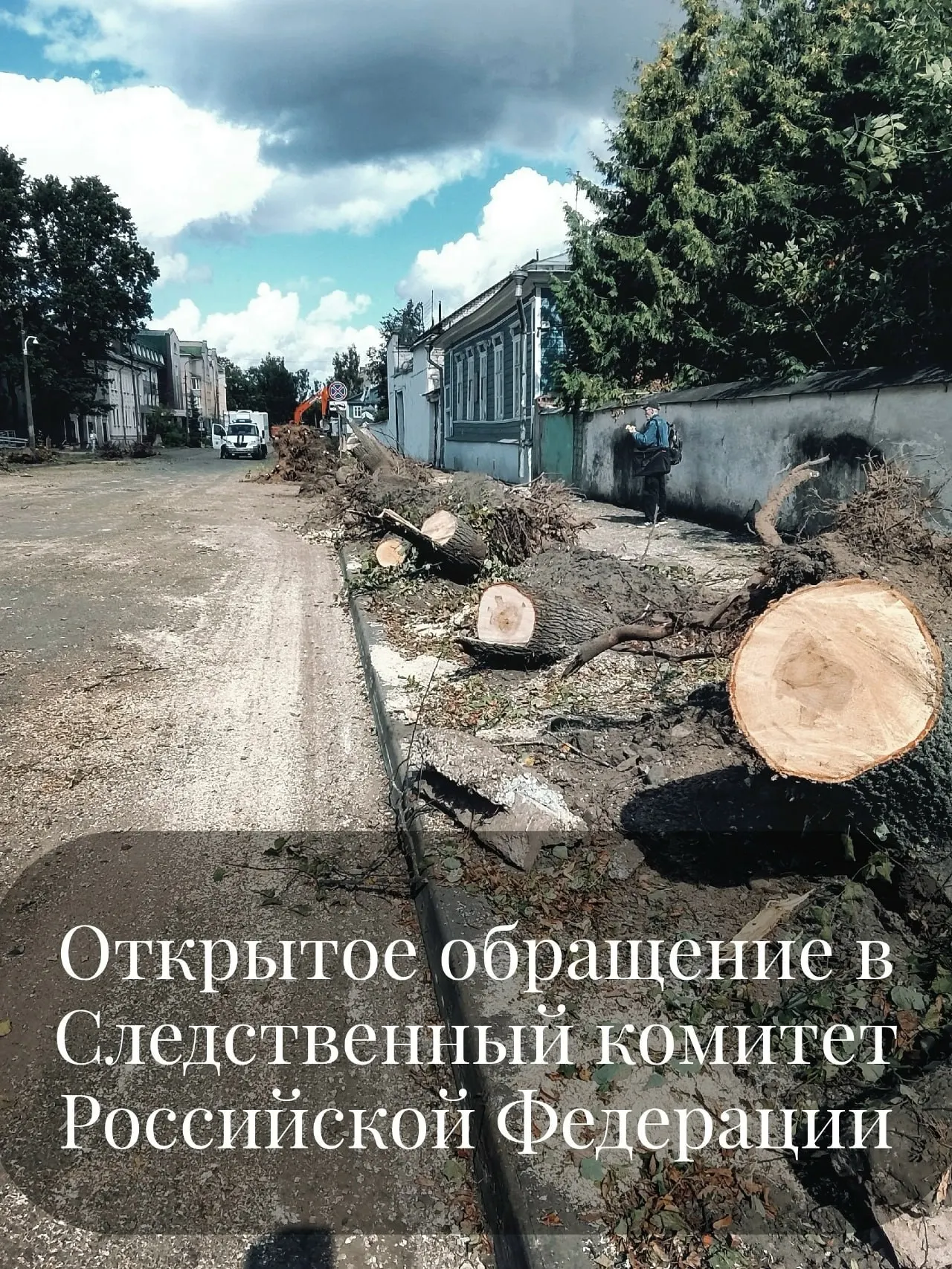Местный житель попросил провести проверку действий должностных лиц администрации города по факту вырубки зелёных насаждений и сомнений в качестве оценки территорий.