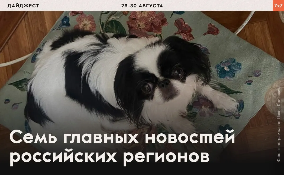 В нескольких регионах зафиксированы аресты, давление на активистов и попытки ограничить СМИ и агитацию.