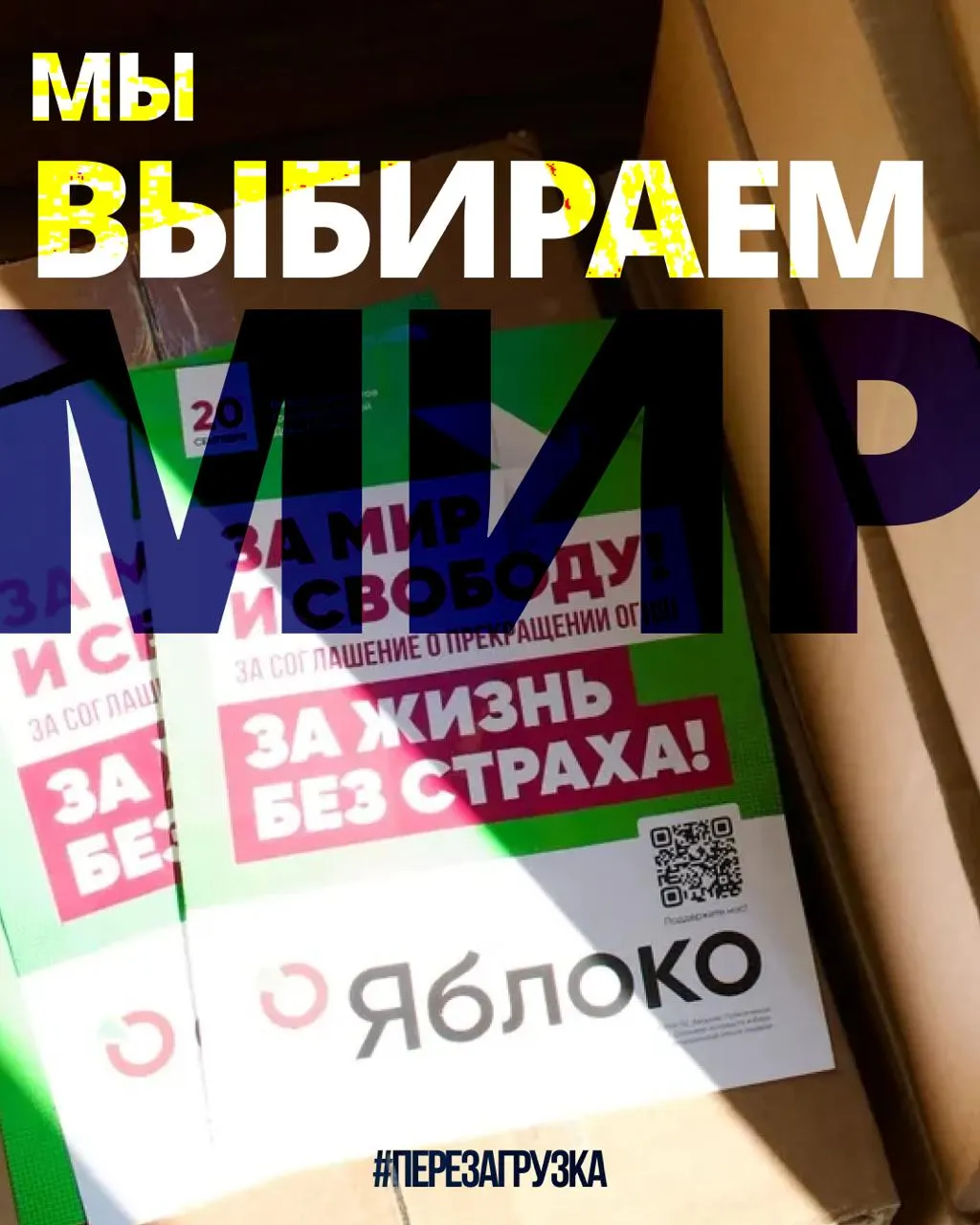 В 53 регионах идут кампании 135 кандидатов от партии Яблоко. На карте страны можно выбрать регион и найти кандидатов «за мир и свободу».