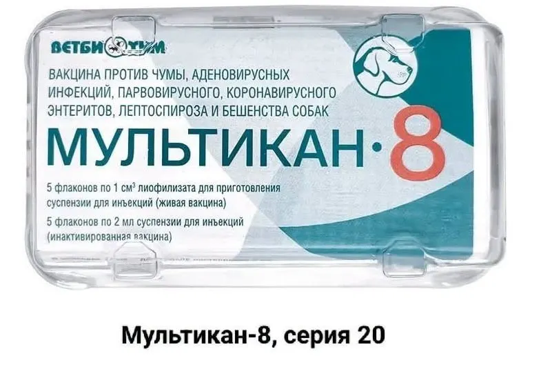 Владельцы животных требуют проверить вакцину Мультикан-8 и привлечь внимание к ситуации: множество случаев гибели собак в разных регионах и призывы к независимым тестам на вирус Ауески.