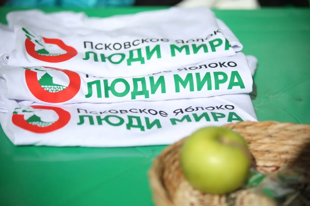 Псковское отделение партии «Яблоко» подало жалобы в областной избирком на семь провластных партий; жалобы касаются нарушений агитации и вопросов интеллектуальной собственности.