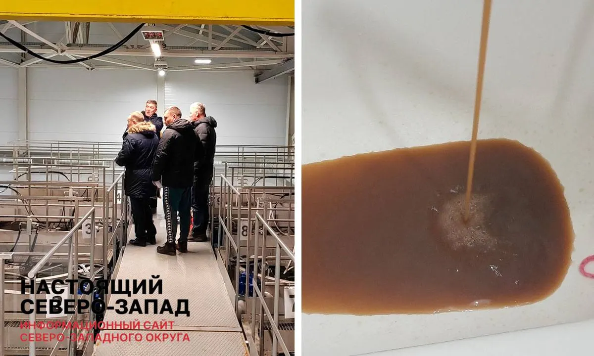 В регионе снижается доля жителей, обеспеченных качественной водой, из-за изношенной инфраструктуры и проблем водоснабжения. Аналогичные тренды фиксируются и в соседних регионах Северо-Западного округа.
